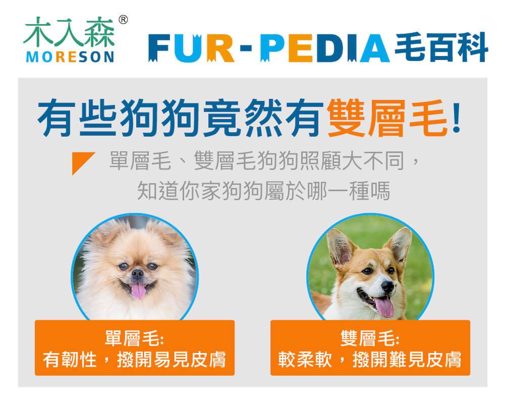 有些狗狗竟然有雙層毛！