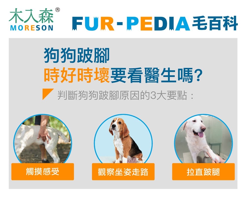 狗狗跛腳會自己好嗎？時好時壞怎麼辦？