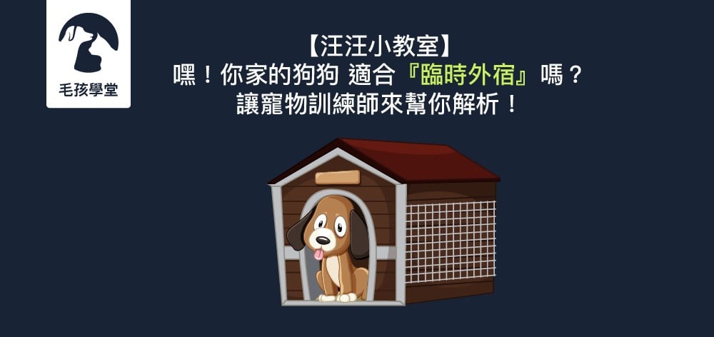 什麼樣的狗狗比較不適合「臨時」到寵物旅館住宿？