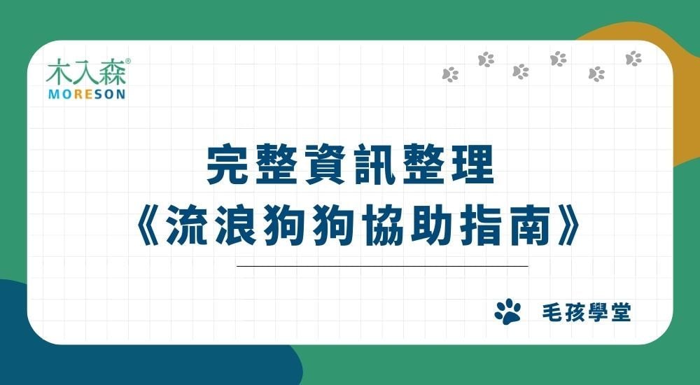 【流浪狗狗協助指南】法規問題、領養流程、動物救援，撿到狗處理方法一次看！