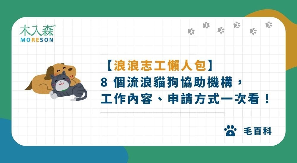 【2025浪浪志工懶人包】8 個流浪貓狗協助機構，工作內容、申請方式一次看！