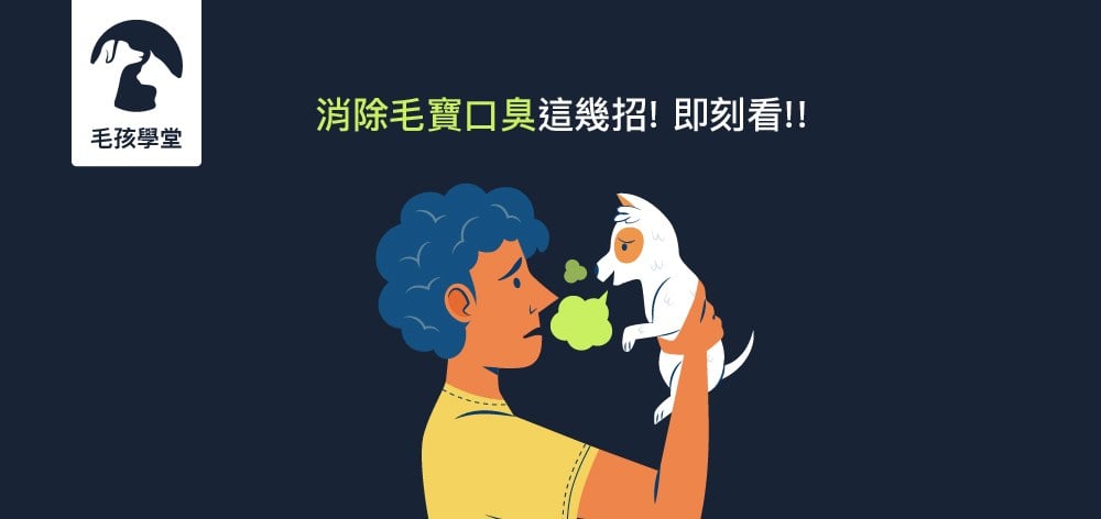 消除毛寶口臭這幾招! 即刻看!!