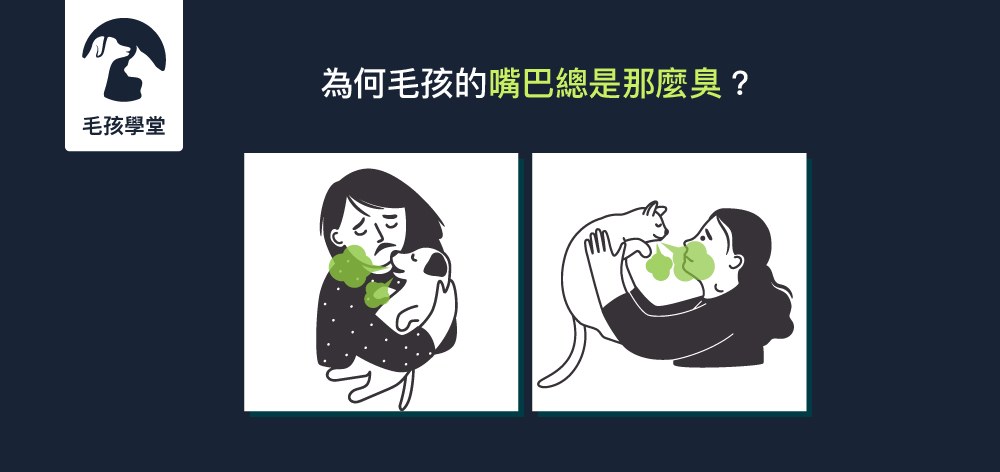 為何毛孩的嘴巴總是那麼臭？