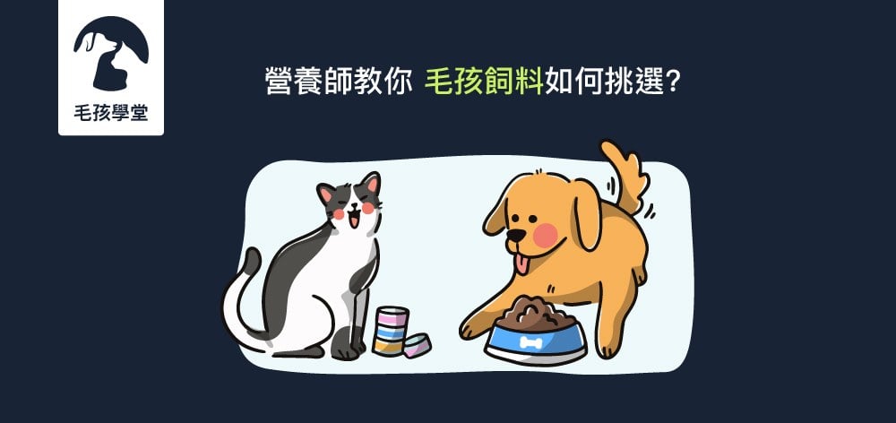營養師教你毛孩飼料如何挑選?