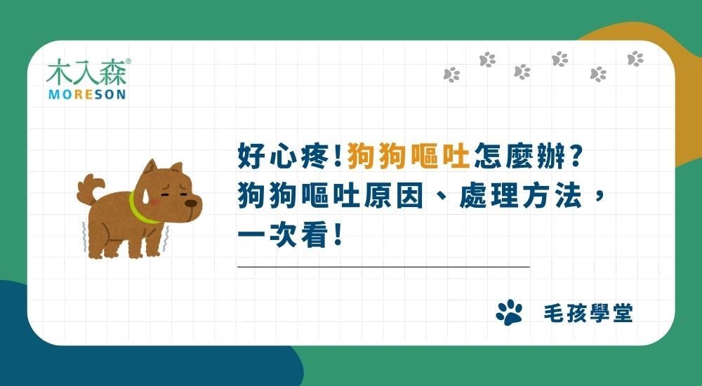 好心疼！狗狗嘔吐怎麼辦？ 狗狗嘔吐原因、處理方法一次看！