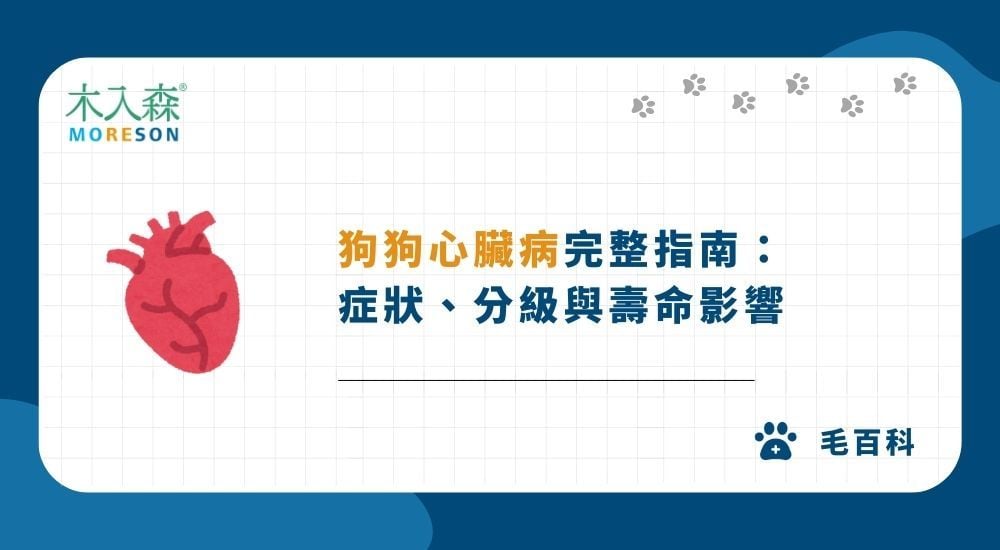 狗狗心臟病可以活多久？狗狗心臟病完整指南：症狀、分級與壽命影響