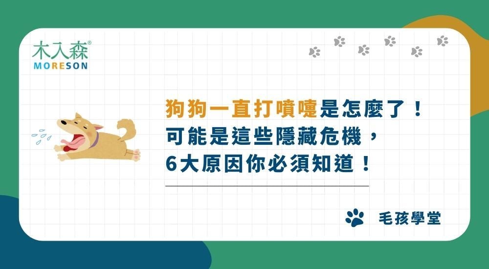 狗狗一直打噴嚏是怎麼了！可能是這些隱藏危機，6大原因你必須知道！