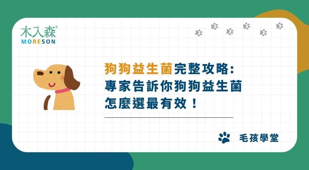 《2025狗狗益生菌完整攻略》專家告訴你狗狗益生菌怎麼選最有效！