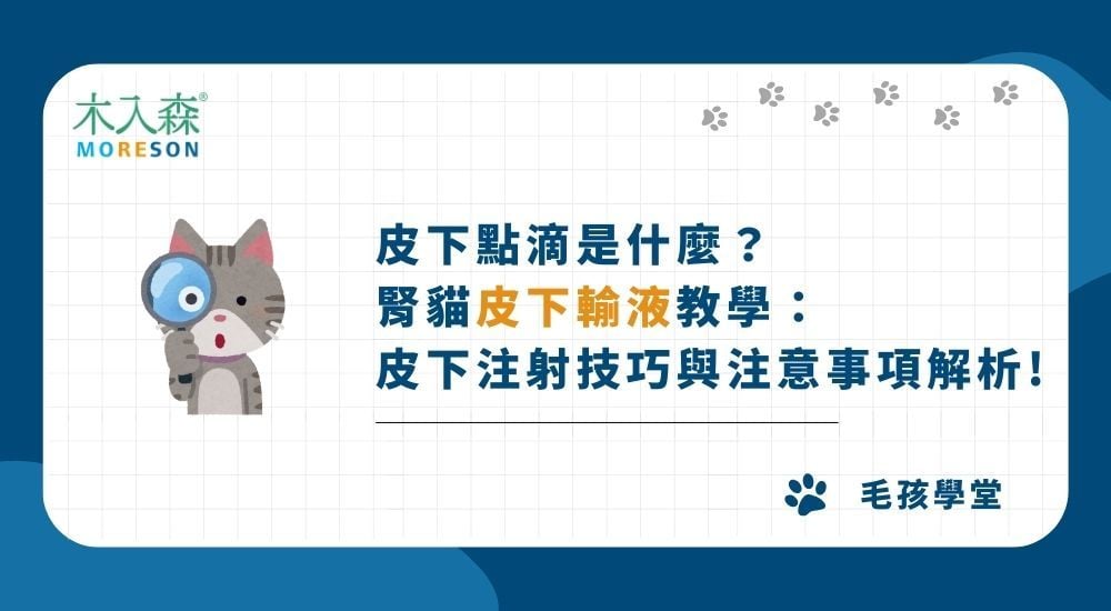 皮下點滴是什麼？腎貓皮下輸液教學：皮下注射技巧&注意事項解析！