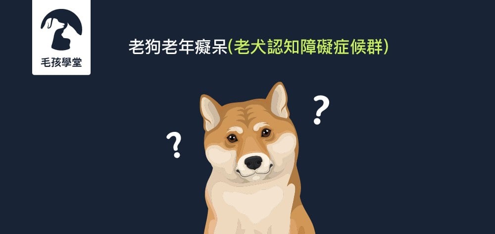 老狗老年癡呆（老犬認知障礙症候群）