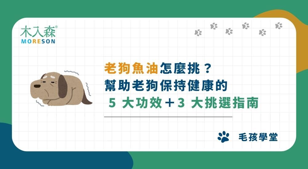 【2025】老狗魚油怎麼挑？幫助老狗保持健康的 5 大功效＋3 大挑選指南