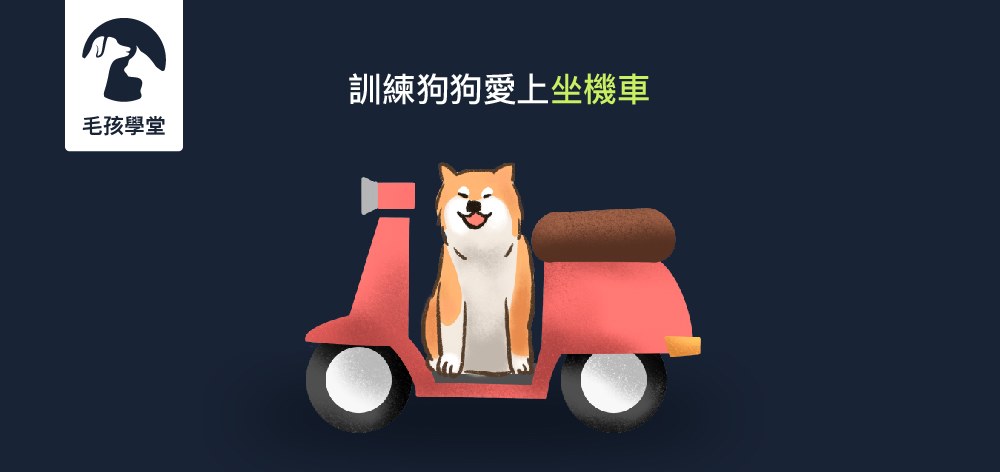 訓練狗狗愛上坐機車