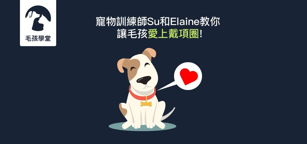 寵物訓練師Su和Elaine教你 讓毛孩愛上戴項圈！
