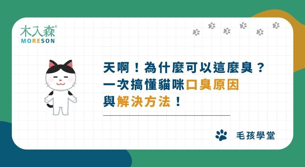 天啊！為什麼可以這麼臭？一次搞懂貓咪口臭原因與解決方法！