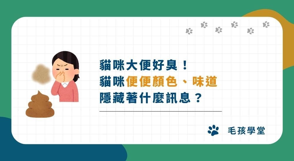 一張圖了解貓咪便便！ 貓咪大便形狀顏色、味道隱藏著什麼訊息？