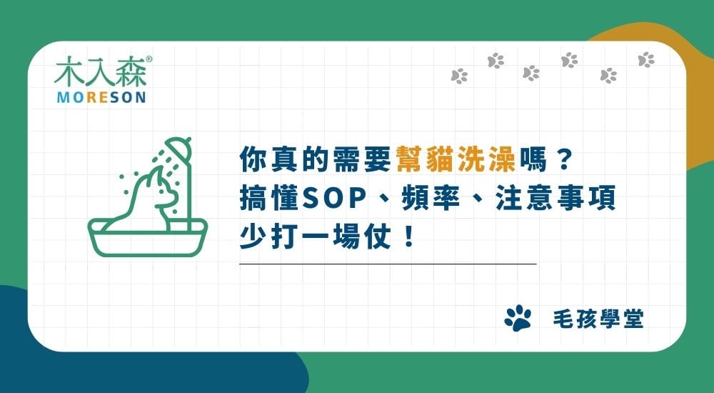 你真的需要幫貓洗澡嗎？搞懂SOP、頻率、注意事項，少打一場仗！
