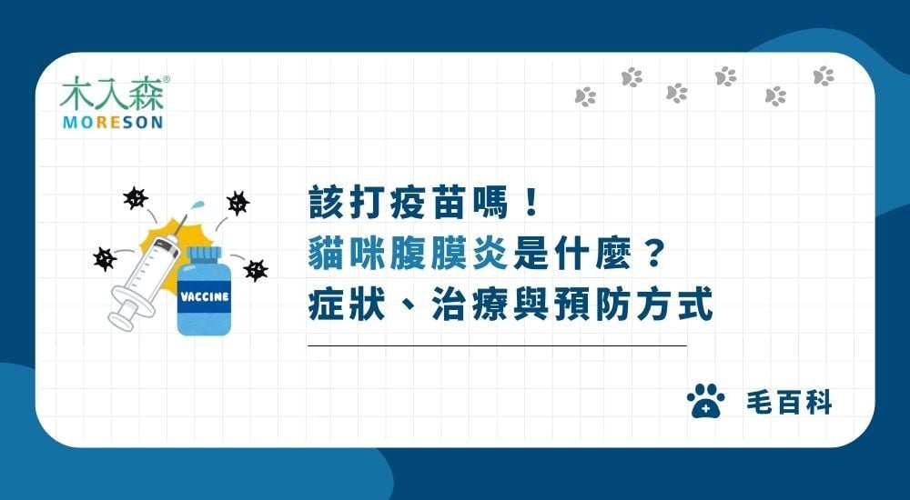 該打疫苗嗎！ 貓咪腹膜炎是什麼？ 症狀、治療與預防方式