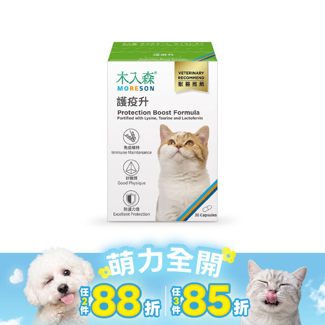 木入森 貓咪護疫升 30顆｜貓咪離胺酸