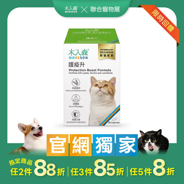 木入森 貓咪護疫升 60顆｜貓咪離胺酸