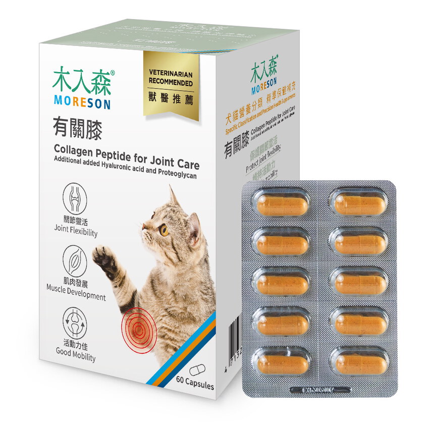 木入森 貓咪有關膝 60顆｜貓咪關節保健食品