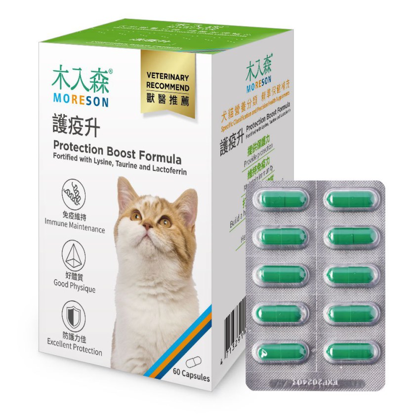 木入森 貓咪護疫升 60顆x3｜貓咪離胺酸