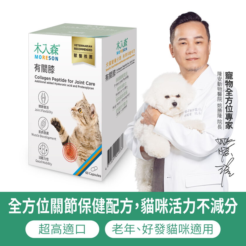 木入森 貓咪有關膝 60顆｜貓咪關節保健食品