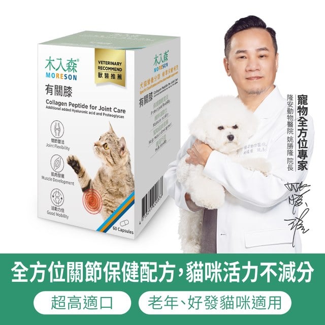 木入森 貓咪有關膝 60顆|貓咪關節保健食品