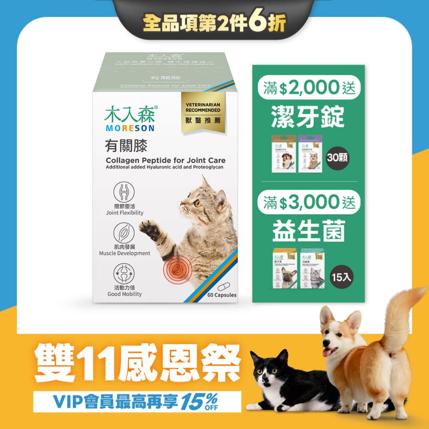 【雙11限定】木入森 貓咪有關膝 60顆x2