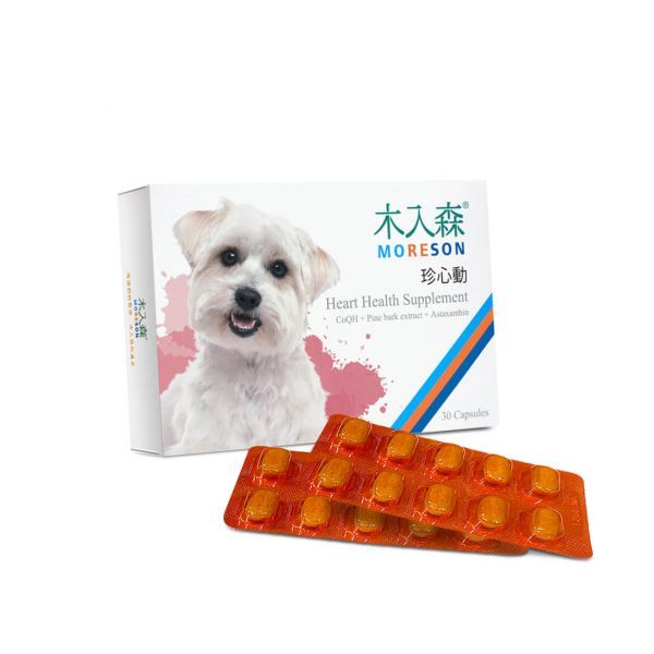 木入森 貓咪護疫升 60顆｜貓咪離胺酸