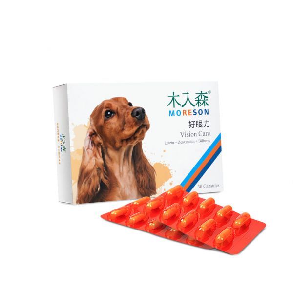 木入森 犬寶好眼力 60顆｜狗狗葉黃素