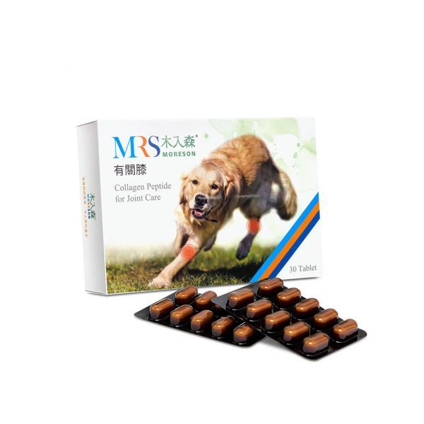 木入森 犬寶有關膝 60顆｜狗狗關節保健食品