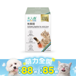 木入森 貓咪有關膝 60顆｜貓咪關節保健食品
