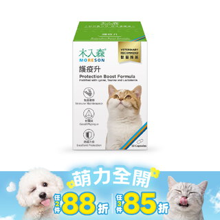 木入森 貓咪護疫升 60顆｜貓咪離胺酸