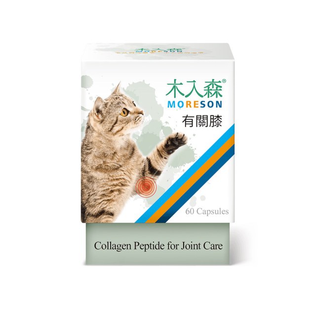 木入森 貓咪有關膝 60顆｜貓咪關節保健食品