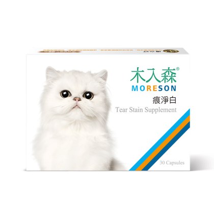 木入森 固齒麗口腔護理凝膠