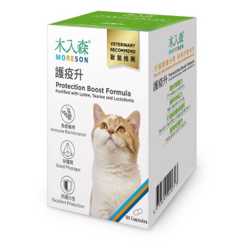 木入森 貓咪護疫升 60顆x3｜貓咪離胺酸