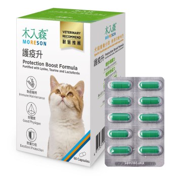 木入森 貓咪護疫升 60顆x3｜貓咪離胺酸