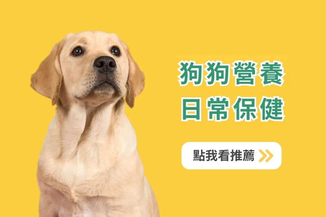 《寵物保健食品聖經》推薦必看!貓咪狗狗保健品到底該如何挑選? 《寵物保健食品聖經》推薦必看!貓咪狗狗保健品到底該如何挑選?