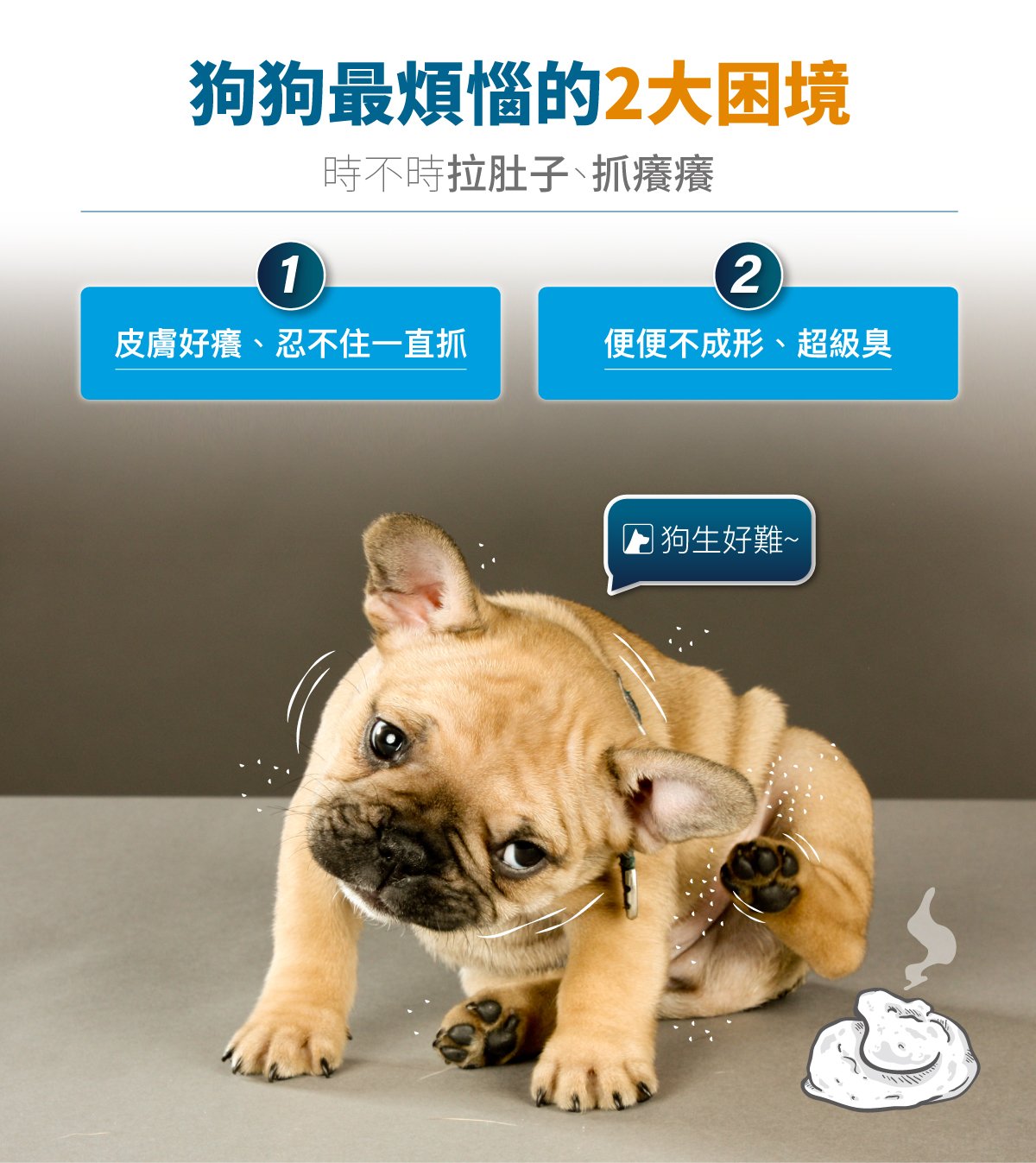 套組詳情頁_設計_犬膚立好+犬變不臭_1 套組詳情頁_設計_犬膚立好+犬變不臭_1