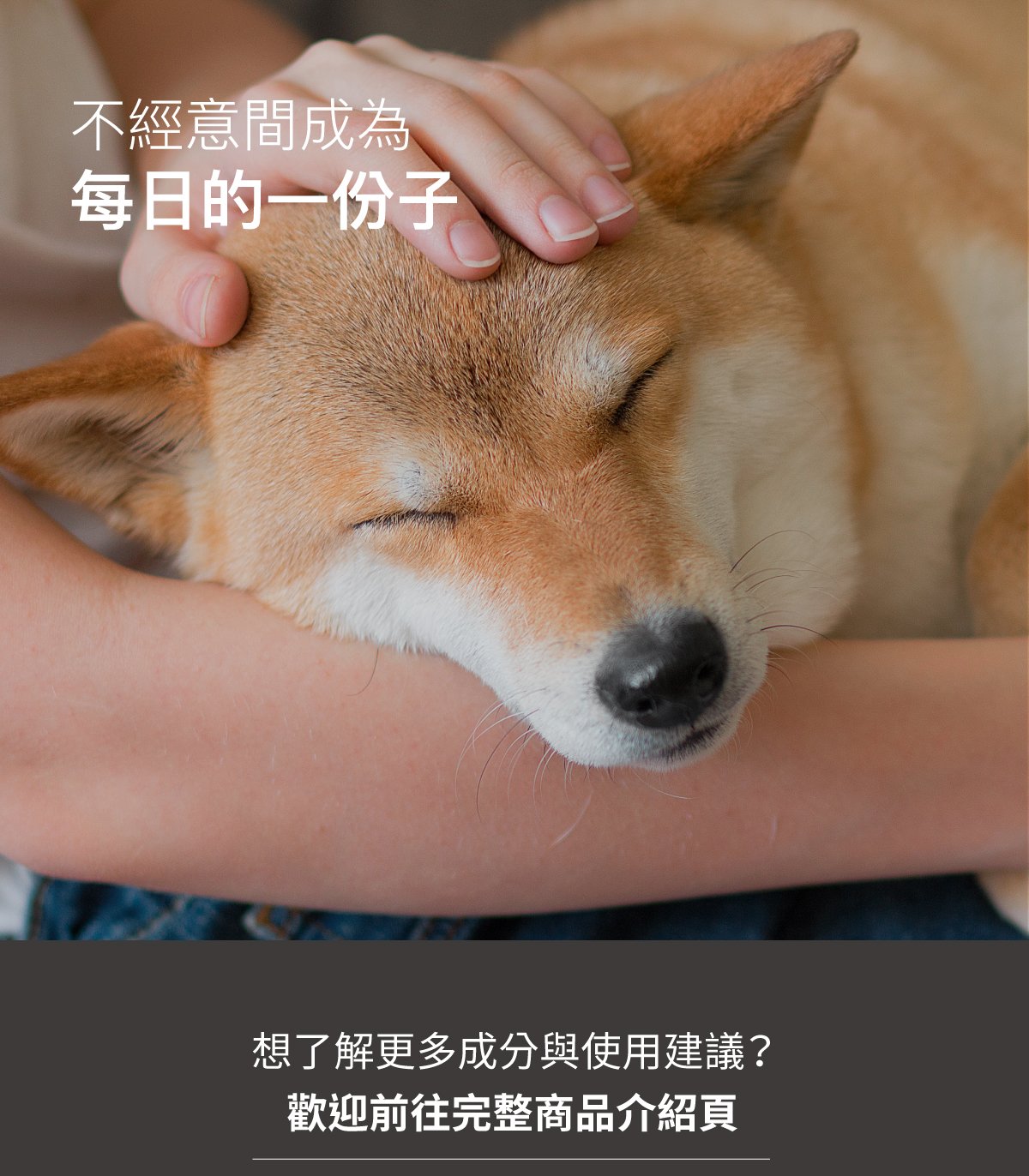 套組詳情頁_設計_犬膚立好+犬變不臭_10 套組詳情頁_設計_犬膚立好+犬變不臭_10