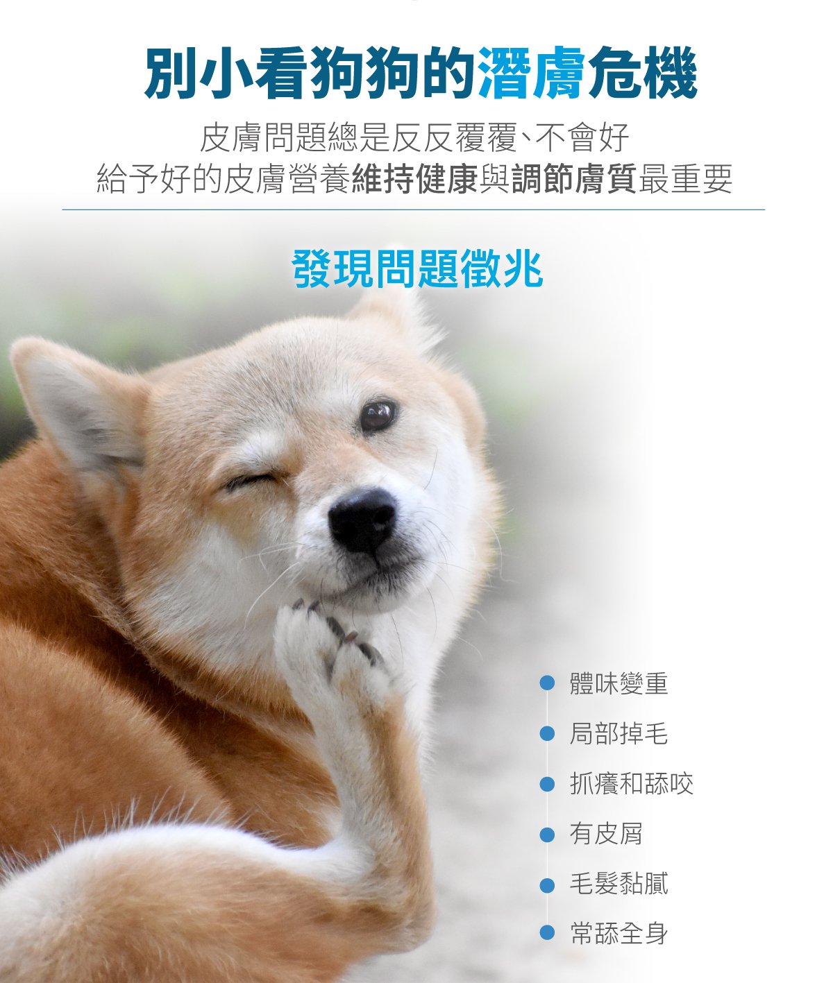 套組詳情頁_設計_犬膚立好+犬變不臭_3 套組詳情頁_設計_犬膚立好+犬變不臭_3