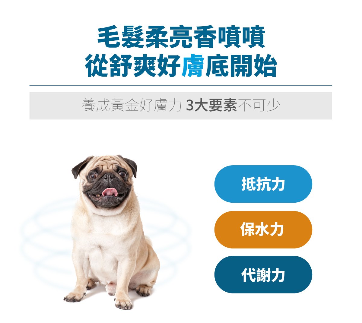 套組詳情頁_設計_犬膚立好+犬變不臭_4 套組詳情頁_設計_犬膚立好+犬變不臭_4