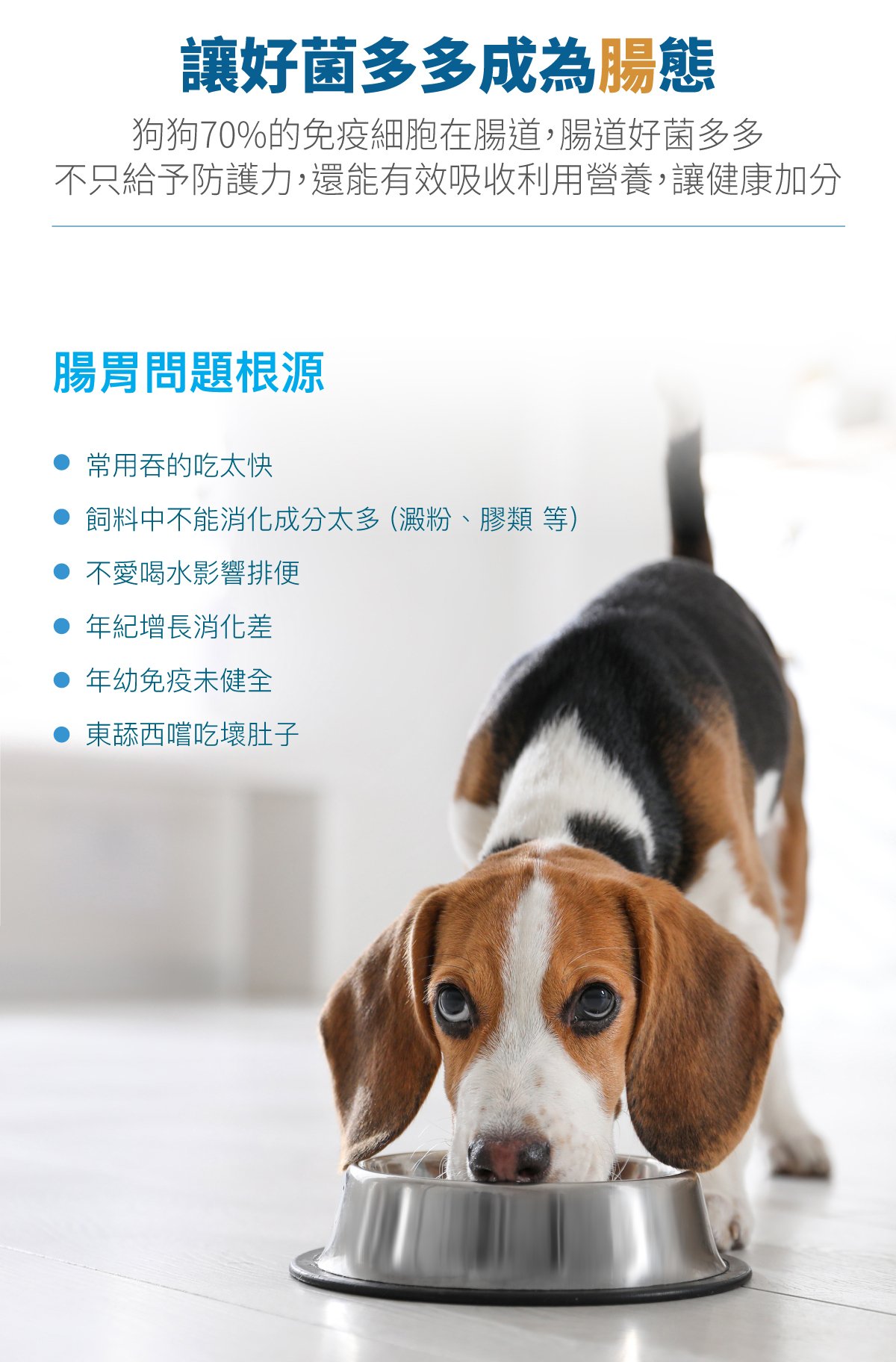 套組詳情頁_設計_犬膚立好+犬變不臭_6 套組詳情頁_設計_犬膚立好+犬變不臭_6