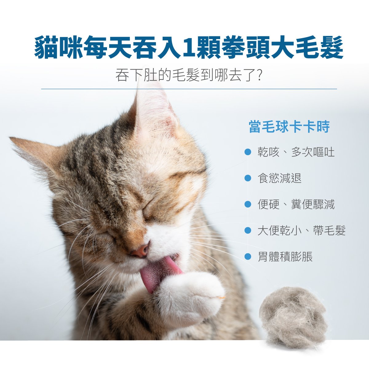 套組詳情頁_設計_貓排毛粉+貓活菌寶_3