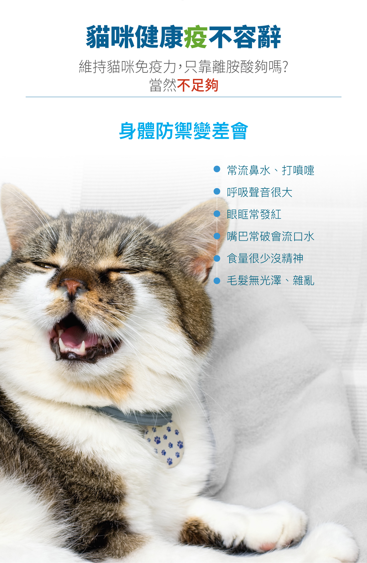 套組詳情頁_設計_貓護疫升+貓活菌寶_3