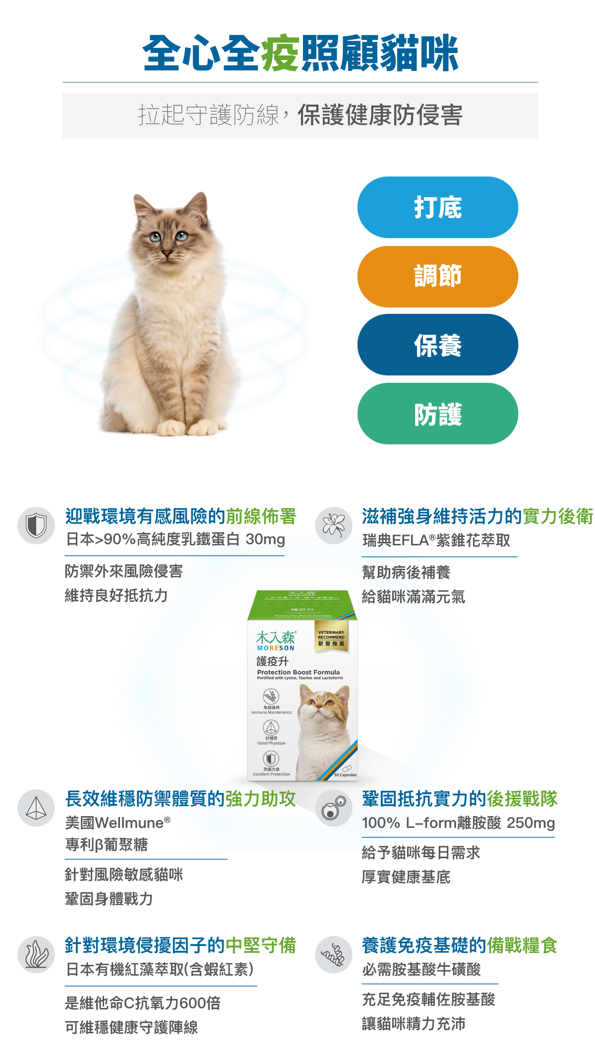 套組詳情頁_設計_貓護疫升+貓活菌寶_4