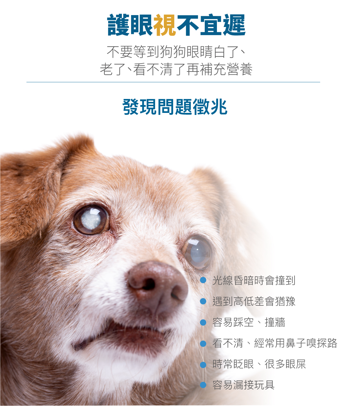 木入森 犬寶好眼力60顆|狗狗葉黃素 木入森 犬寶好眼力60顆|狗狗葉黃素