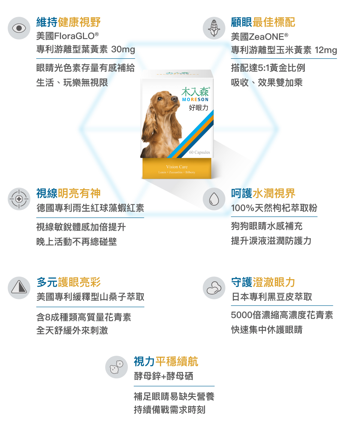 木入森 犬寶好眼力60顆|狗狗葉黃素 木入森 犬寶好眼力60顆|狗狗葉黃素