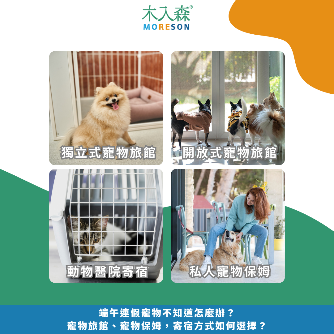 端午連假寵物不知道怎麼辦?寵物旅館、寵物保姆,寄宿方式如何選擇? 端午連假寵物不知道怎麼辦?寵物旅館、寵物保姆,寄宿方式如何選擇?