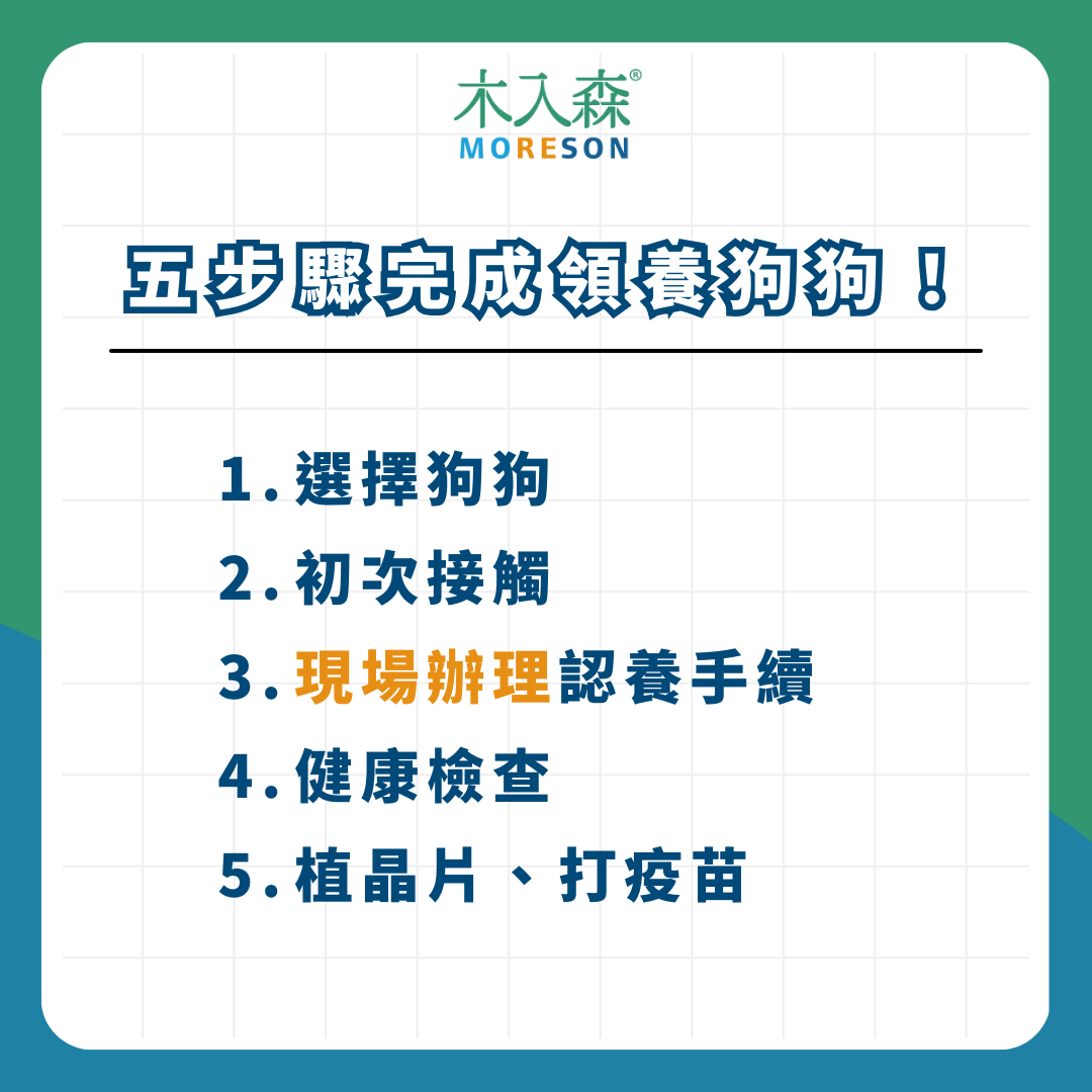 領養狗狗懶人包! 最新領養條件、流程、平台資訊整理 領養狗狗懶人包! 最新領養條件、流程、平台資訊整理